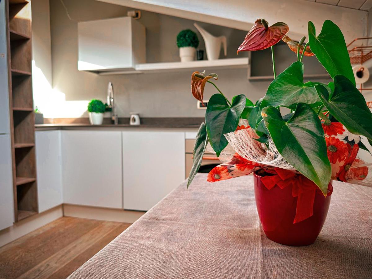 Accogliente Mansarda In Centro Storico Apartman Ravenna Kültér fotó